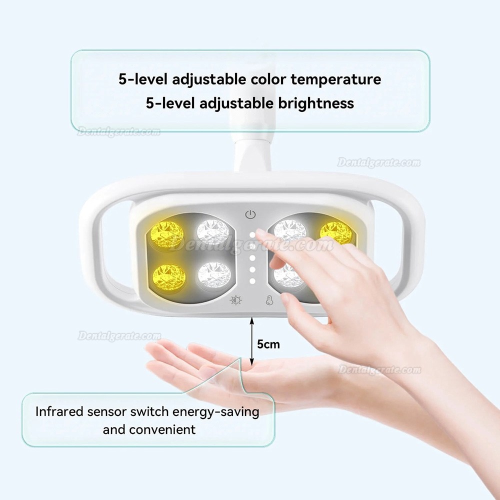 Zahnarztlampe 8 LEDs, 10 W, zweifarbig einstellbar mit infrarot-induktive